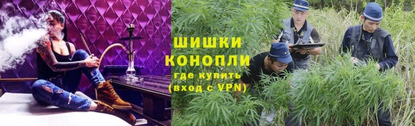 стаф Белоозёрский