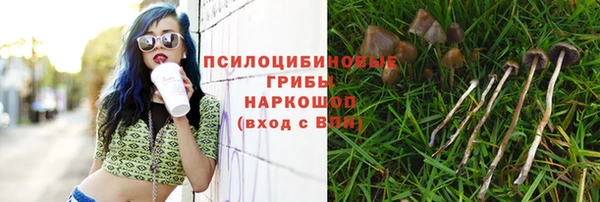 кокаин Белокуриха