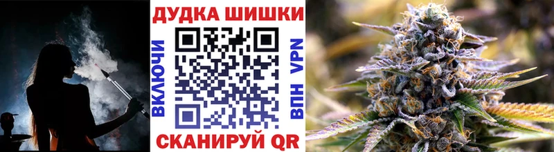 Бошки Шишки планчик  mega tor  Сегежа 